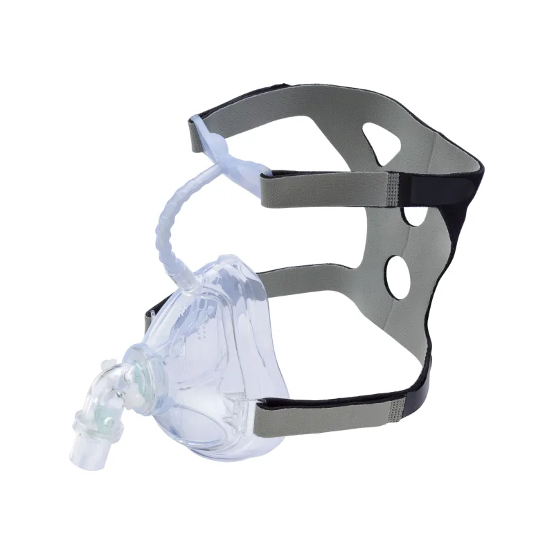 Oronasal Mask
